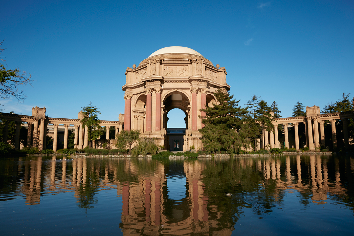 Image result for palace of fine arts